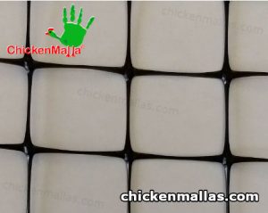 chicken net for poultry protection