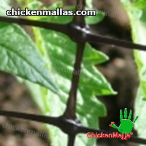chickenmalla installed for protect the garden