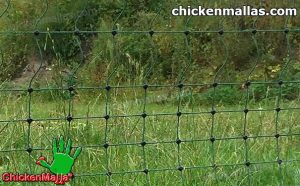 chicken net installed on garden